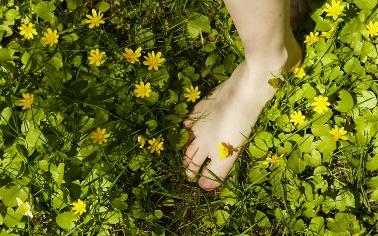 Pied nu dans une herbe fleurie au soleil